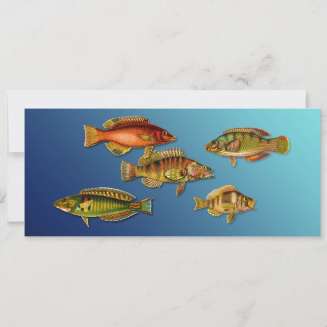 Colorful Fish Invitation (Front)