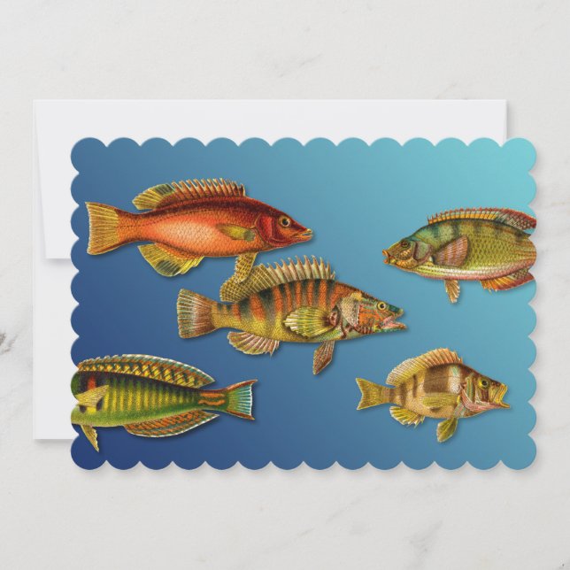 Colorful Fish Invitation (Front)
