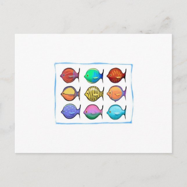 Colorful Fish Postcard (Front)