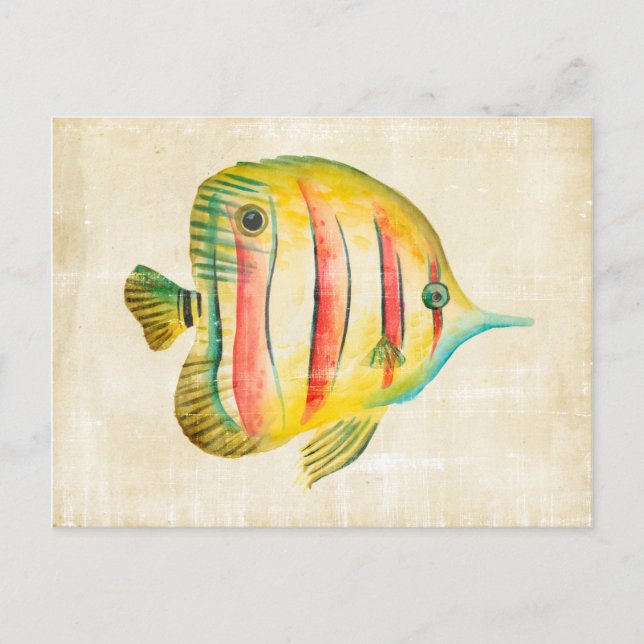 Colorful Fish Postcard (Front)