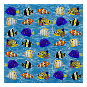 Colorful fish poster