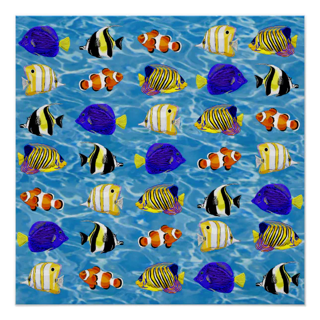 Colorful fish poster | Zazzle