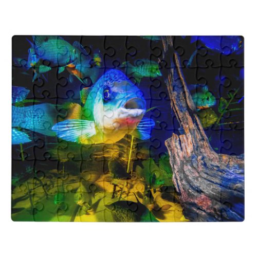 Colorful Fish Puzzle