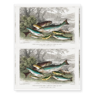 Colorful Fish Temporary Tattoos