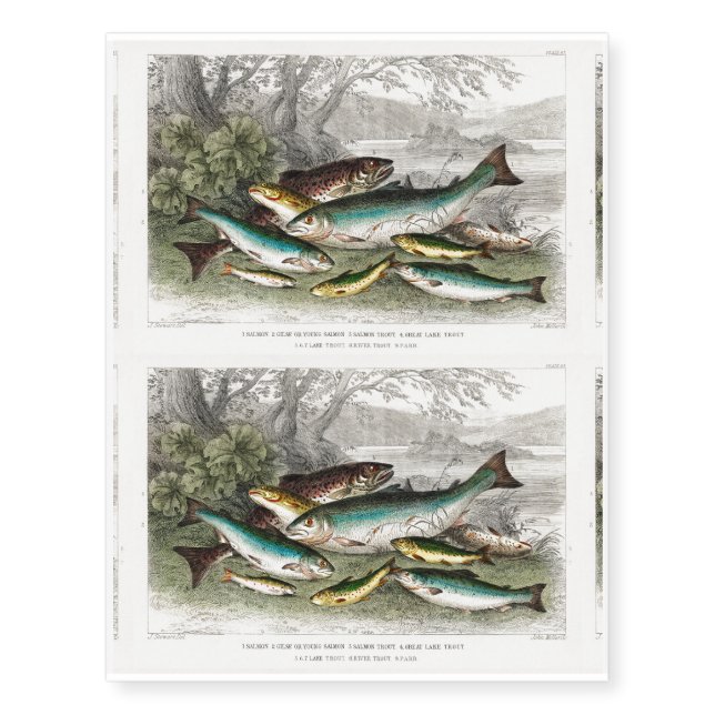 Colorful Fish Temporary Tattoos (Front)