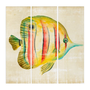 Colorful Fish Triptych