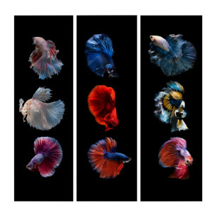 Colorful Fish wall panels