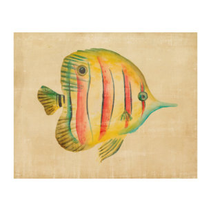 Colorful Fish Wood Wall Decor