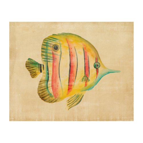 Colorful Fish Wood Wall Decor