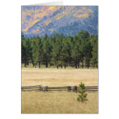 Colorful Flagstaff field (Front)