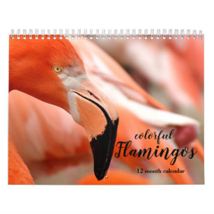 Colorful Flamingos 2024 Calendar