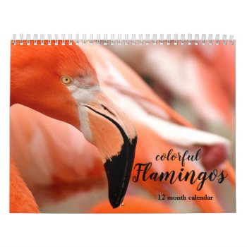 Colorful Flamingos 2024 Calendar by MiscellanyShop at Zazzle