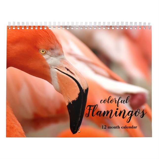 Colorful Flamingos 2026 Calendar (Cover)