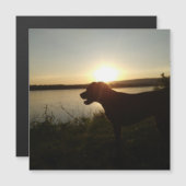 Colorful floral design magnet (Front/Back)