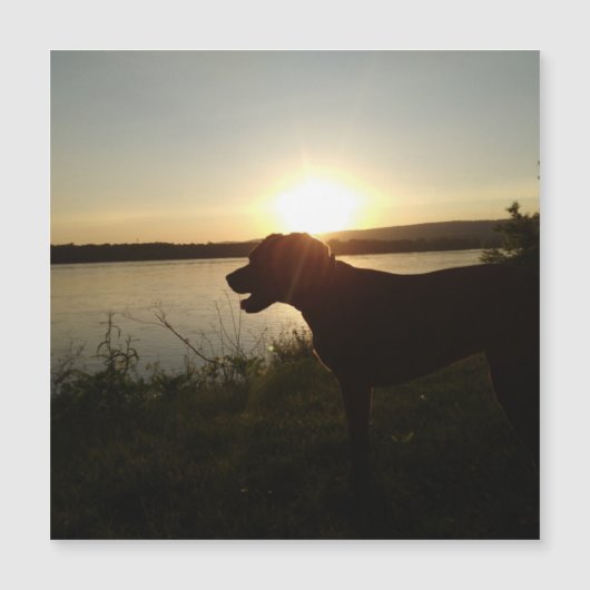 Colorful floral design magnet (Front)