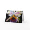 Colorful Floral Greeting Cards