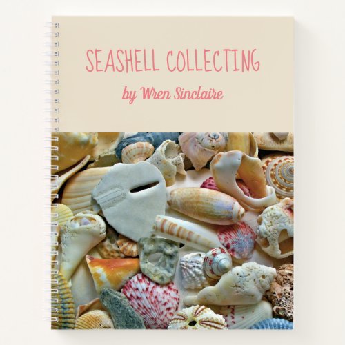 Colorful Florida Seashells Personalized Journal