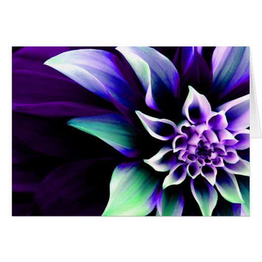 Colorful Flower 3 Cards (Front Horizontal)