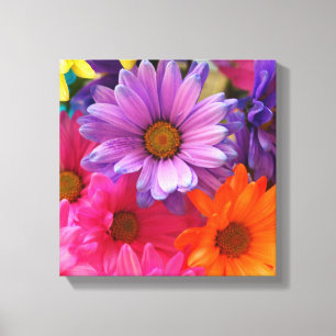 Colorful Flower Daisies Canvas Single Print