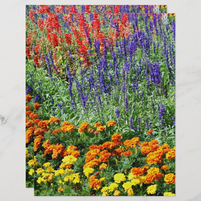 Colorful Flower Garden In Summer Scrapbook (Front/Back)