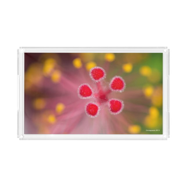 Colorful flower pedal vanity tray (Front)