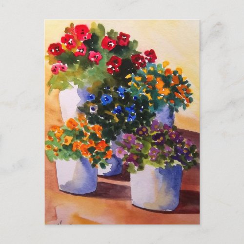 Colorful Flower Pots Postcard