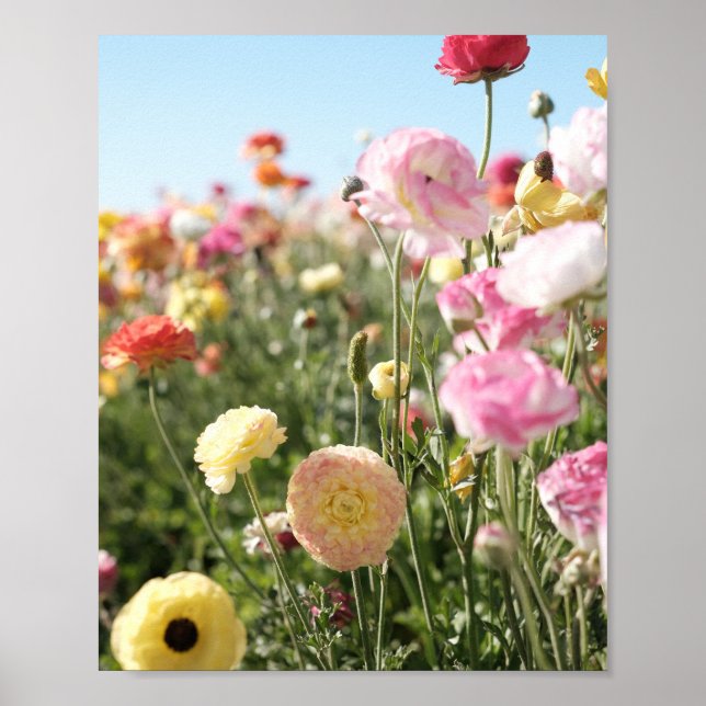 Colorful flower Print,  Poster Paper (Semi-Gloss) (Front)