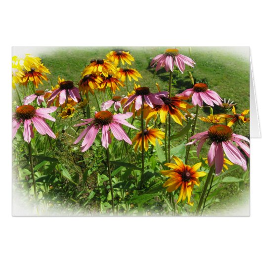 Colorful Flowers Cards (Front Horizontal)