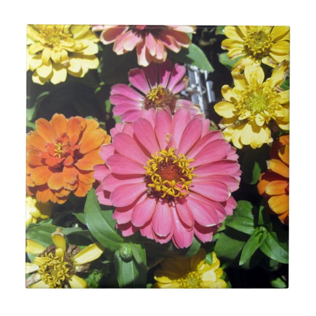 Colorful Flowers Ceramic Tile (Front)