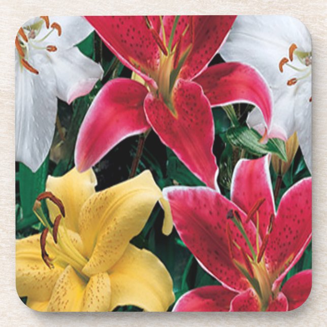 Colorful Flowers Coasters (Front)