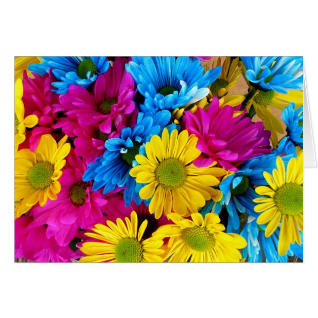 Colorful Flowers, Daisies - Blue Yellow Pink (Front Horizontal)