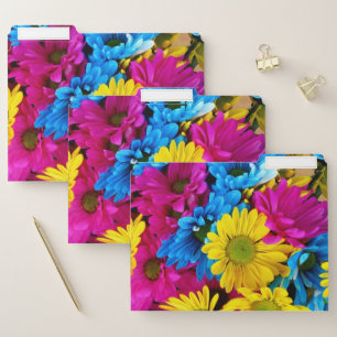 Colorful Flowers, Daisies - Blue Yellow Pink File Folder