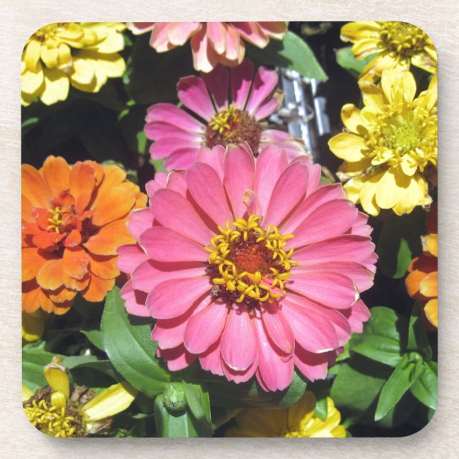 Colorful Flowers Drink Coaster (Front)