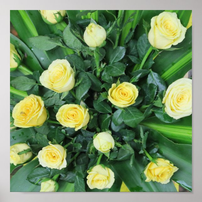 colorful+ flowers,    garden+ gnome, poster (Front)