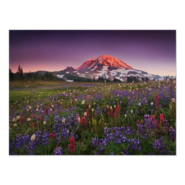 Colorful Flowers in Rainier National Park Poster (Front)