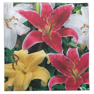 Colorful Flowers Napkins