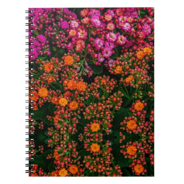 Colorful Flowers  Notebook (Front)