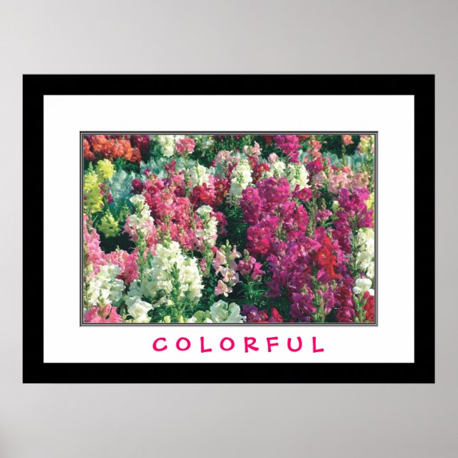 Colorful Flowers Poster (Front)