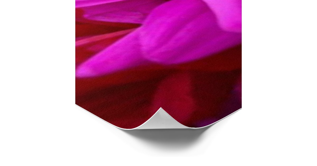 Colorful Flowers Poster | Zazzle