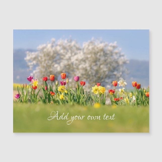 Colorful Flowers Tulips + Daffodils  Magnetic Card (Front)