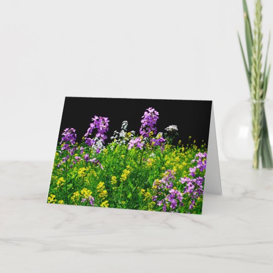 [Colorful Flowers] Wildflower Field - Any Occasion Card