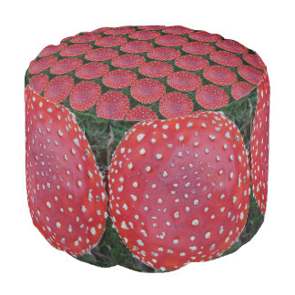 Colorful Fly Amantis Pattern Round Poof Pouf