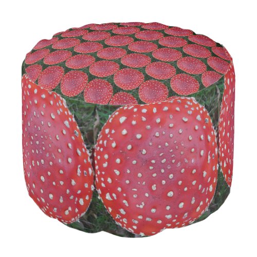 Colorful Fly Amantis Pattern Round Poof Pouf