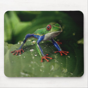 Colorful Frog Mouse Pad