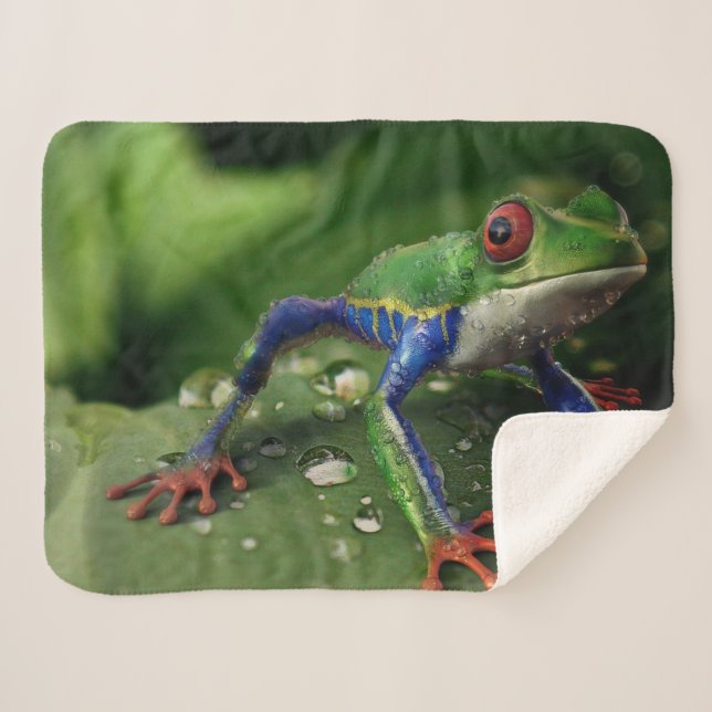 COLORFUL FROG SHERPA BLANKET (Front (Horizontal))