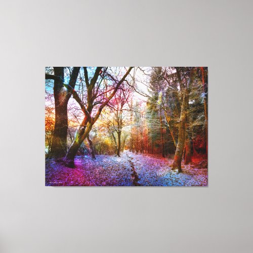 Colorful Frosted Forest Landscape Canvas Print