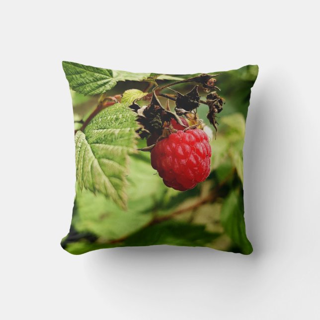 Colorful Fruits And Vegetables Throw Pillow (Front)
