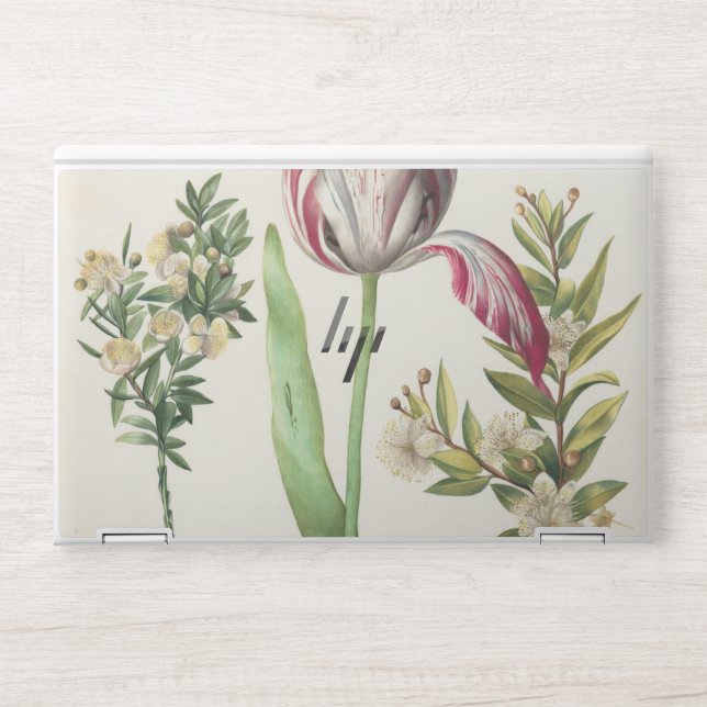 Colorful Fruits HP Laptop Skin (Front)