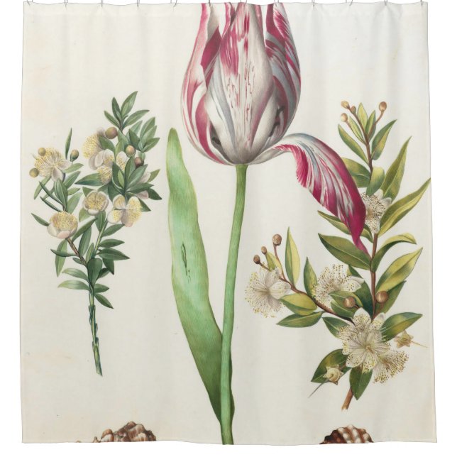 Colorful Fruits Shower Curtain (Front)