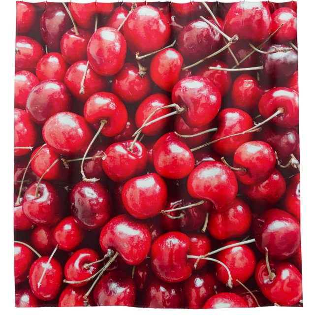 Colorful Fruits Shower Curtain (Front)